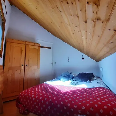 Au Pied Des Pistes Apartment *
